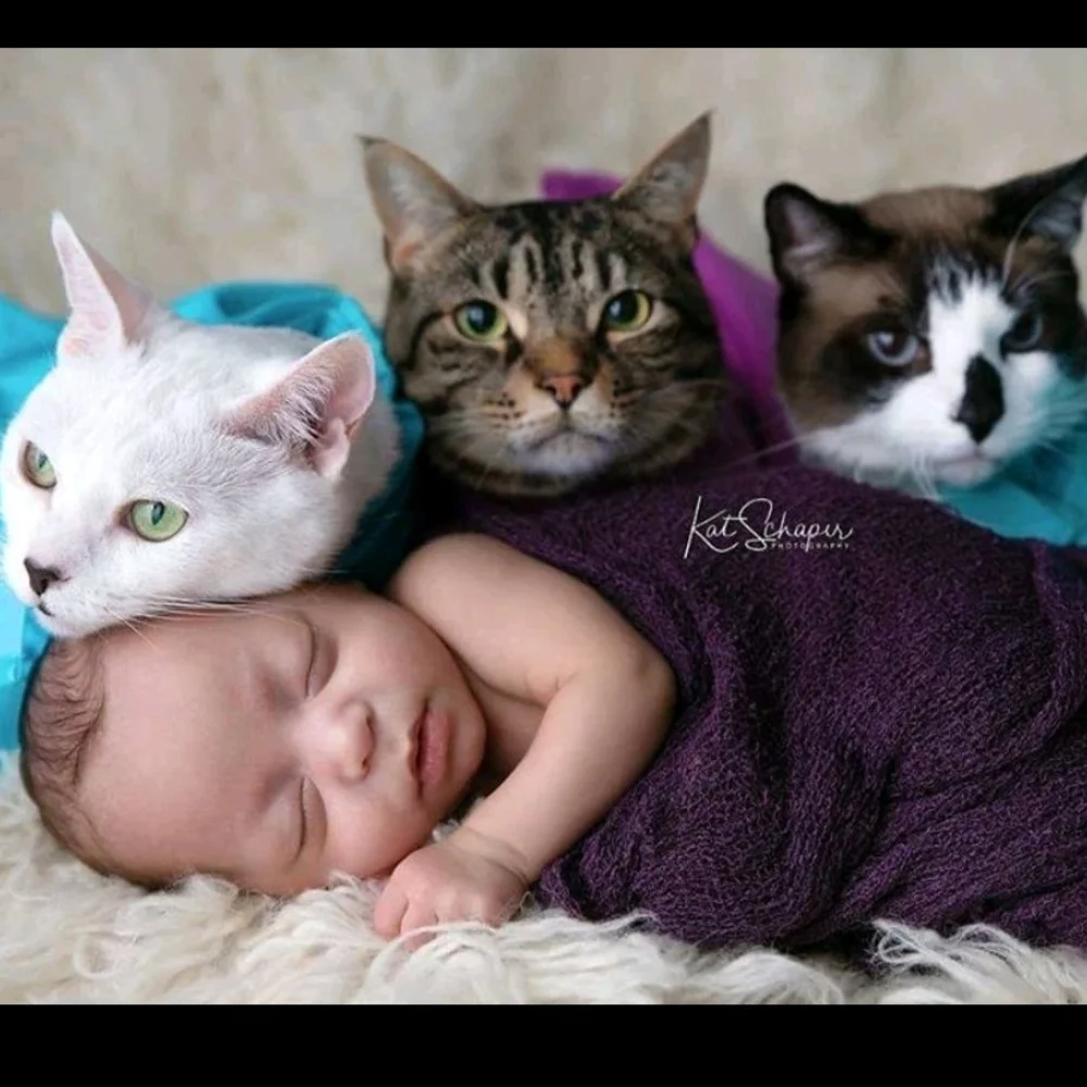 Cat-in-the-bag-Green. cat carriers soft cat bags for travel, medicating